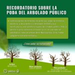 RECORDATORIO SOBRE LA PODA DEL ARBOLADO PÚBLICO